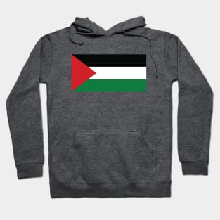 Palestine Flag Hoodie